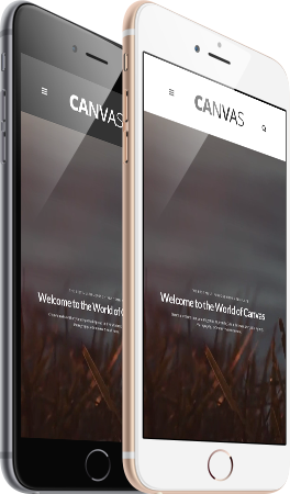iphone-677f86db8ad45855122077.png